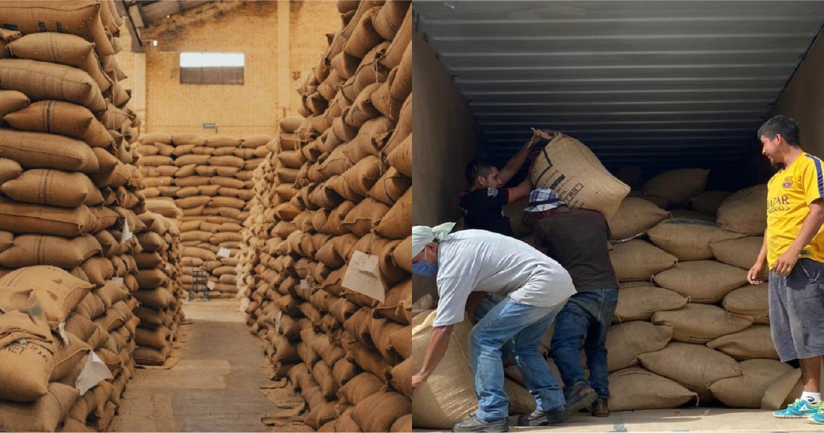 exportación de café fb thumbnail